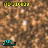 HD 316839