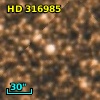 HD 316985