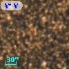 V* V4095 Sgr