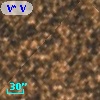 V* V4099 Sgr