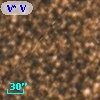 V* V4101 Sgr