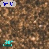 V* V4102 Sgr
