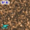 V* V4110 Sgr
