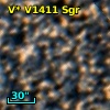 V* V1411 Sgr