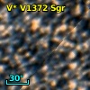 V* V1372 Sgr