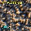 V* V1366 Sgr