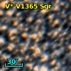 V* V1365 Sgr