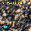 V* V1356 Sgr