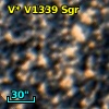 V* V1339 Sgr