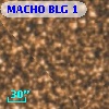 MACHO BLG  1