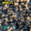 BMB  31