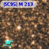 [SC95] M 213