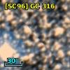 [SC96] GC 316