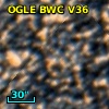 OGLE BWC V36