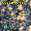 OGLE BWC V66
