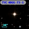 TYC 4066-73-1
