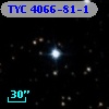 TYC 4066-81-1