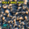 OGLE BWC V77