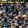 OGLE BWC V167