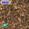 OGLE BW1 V37