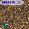 OGLE BW1 V81