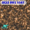 OGLE BW1 V107