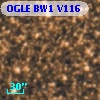 OGLE BW1 V116