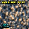 OGLE BW1 V117