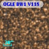 OGLE BW1 V118