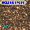OGLE BW1 V134