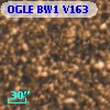 OGLE BW1 V163