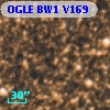 OGLE BW1 V169
