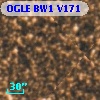 OGLE BW1 V171