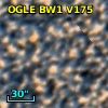 OGLE BW1 V175