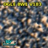 OGLE BW1 V183