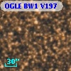 OGLE BW1 V197