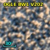 OGLE BW1 V202