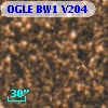 OGLE BW1 V204