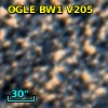 OGLE BW1 V205