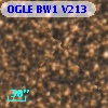 OGLE BW1 V213