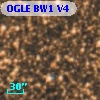 OGLE BW1 V4