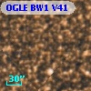 OGLE BW1 V41