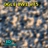 OGLE BW1 V75