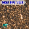 OGLE BW1 V119