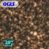 OGLE BW2 V41