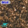 OGLE BW2 V42
