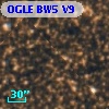 OGLE BW5 V9