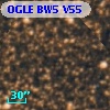 OGLE BW5 V55