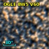 OGLE BW5 V60
