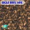 OGLE BW5 V66